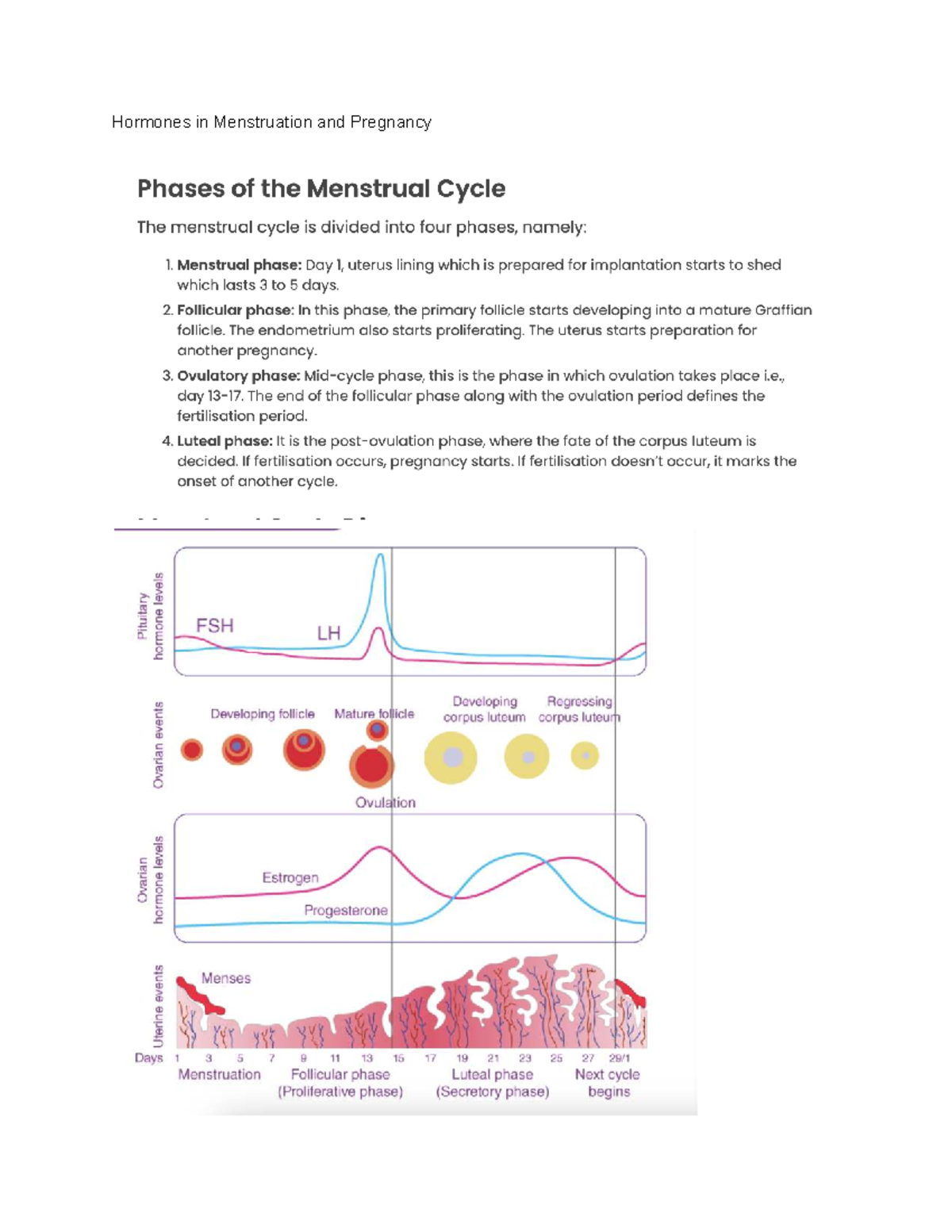Hormones in Menstruation & Pregnancy: AQA GCSE Biology Notes - Studocu