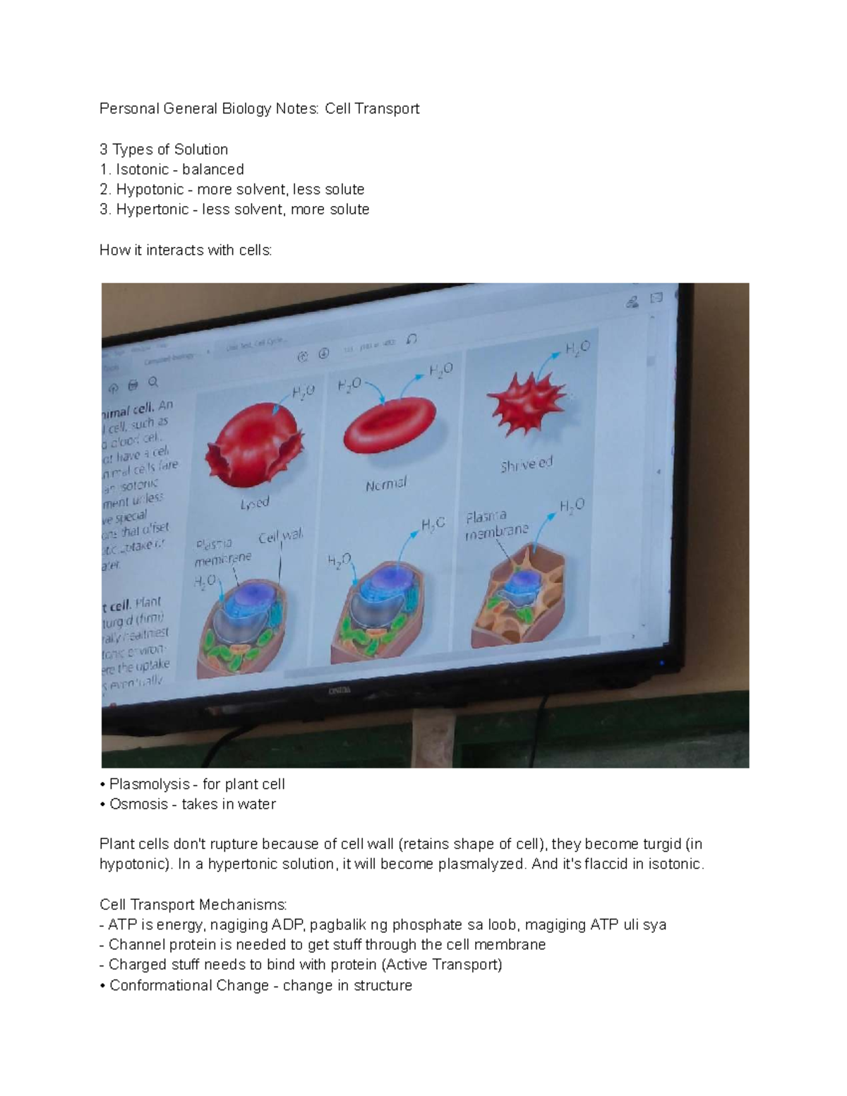 Gen Bio Notes: Cell Transport Mechanisms & Solution Types - Studocu