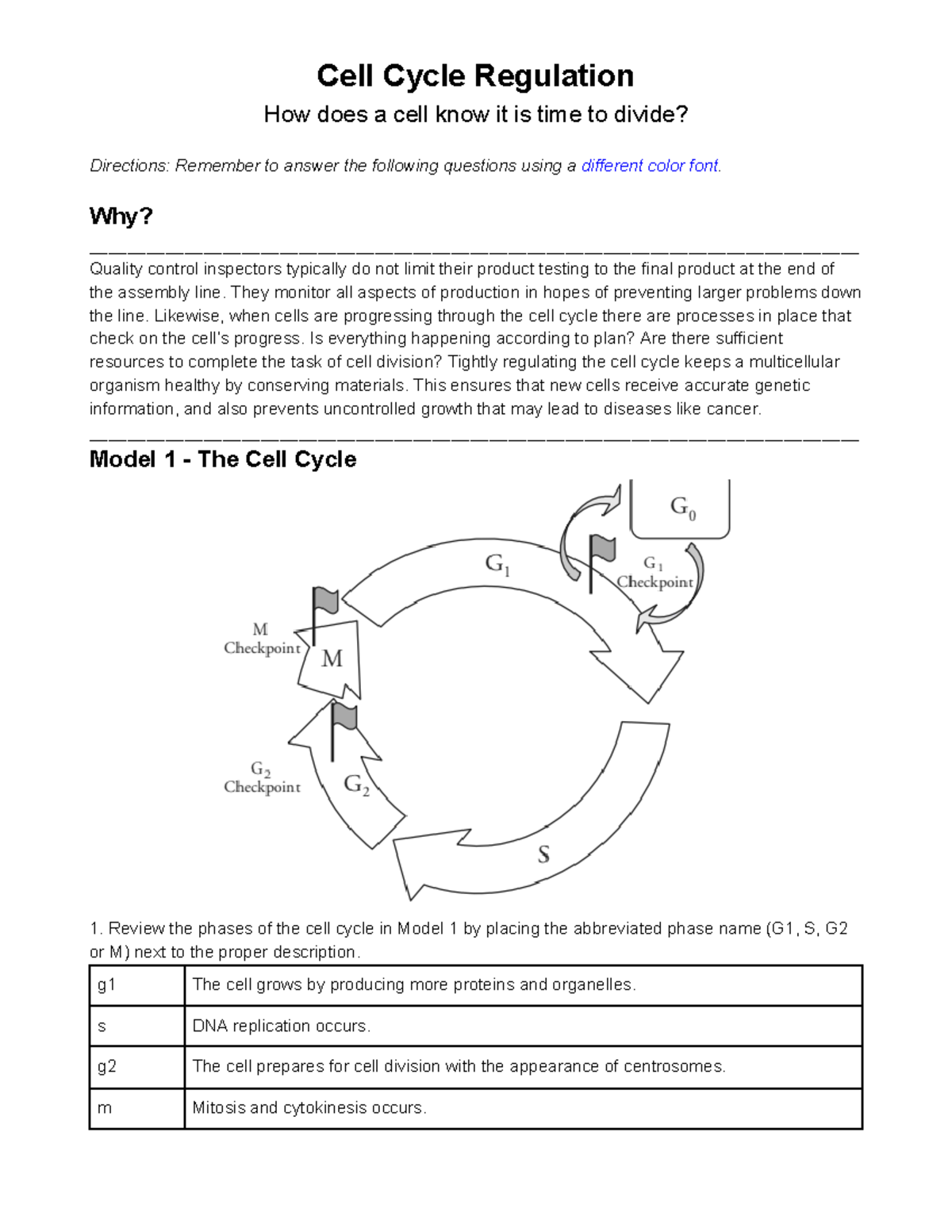 18 Pogil Cell Cycle Regulation - Cell Cycle Regulation How does a 