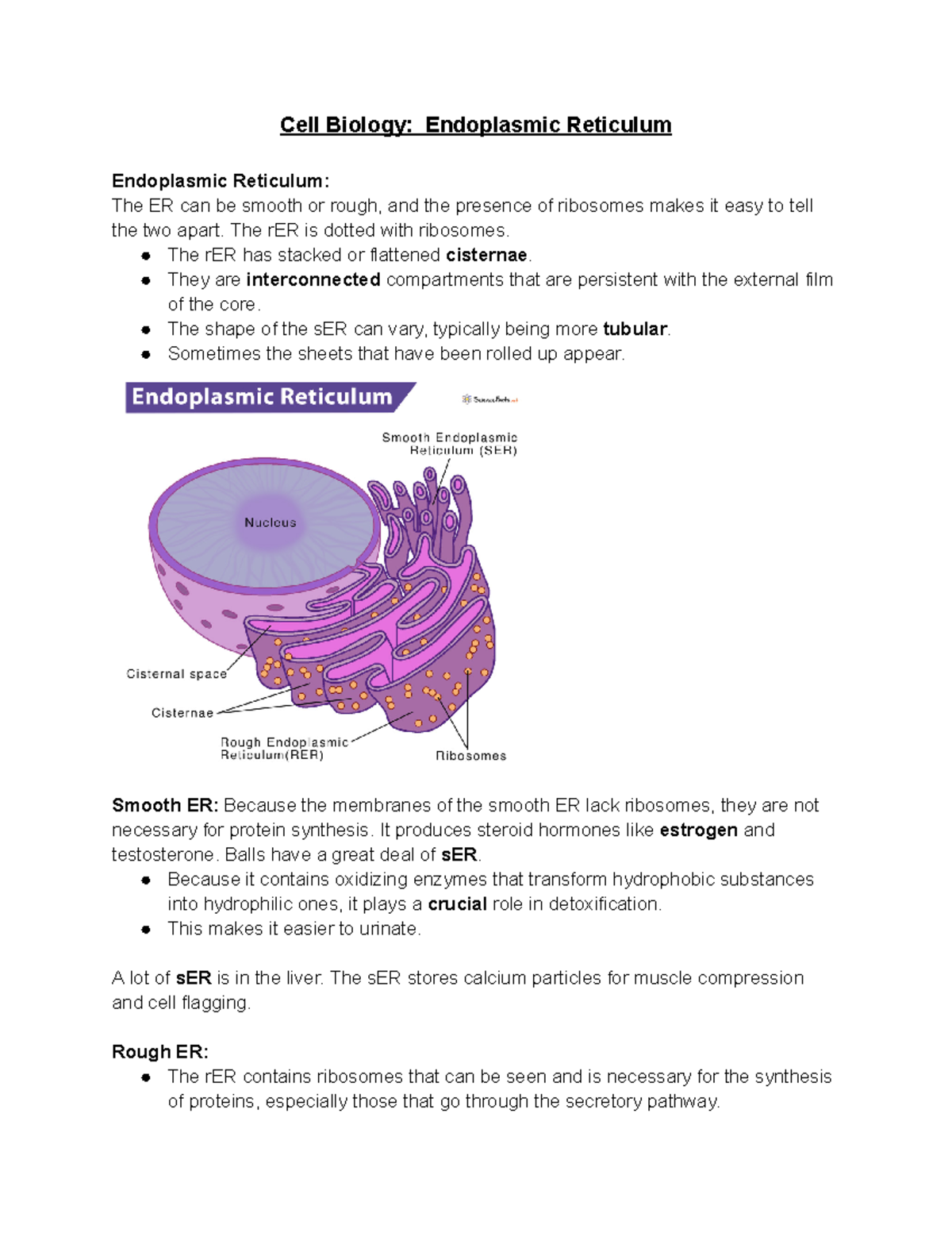 Cell Biology (CB101) Lecture Notes: Endoplasmic Reticulum Overview ...