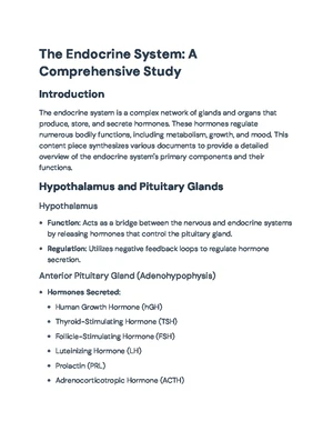 Endocrine System - Study Notes & Assignments - Studocu