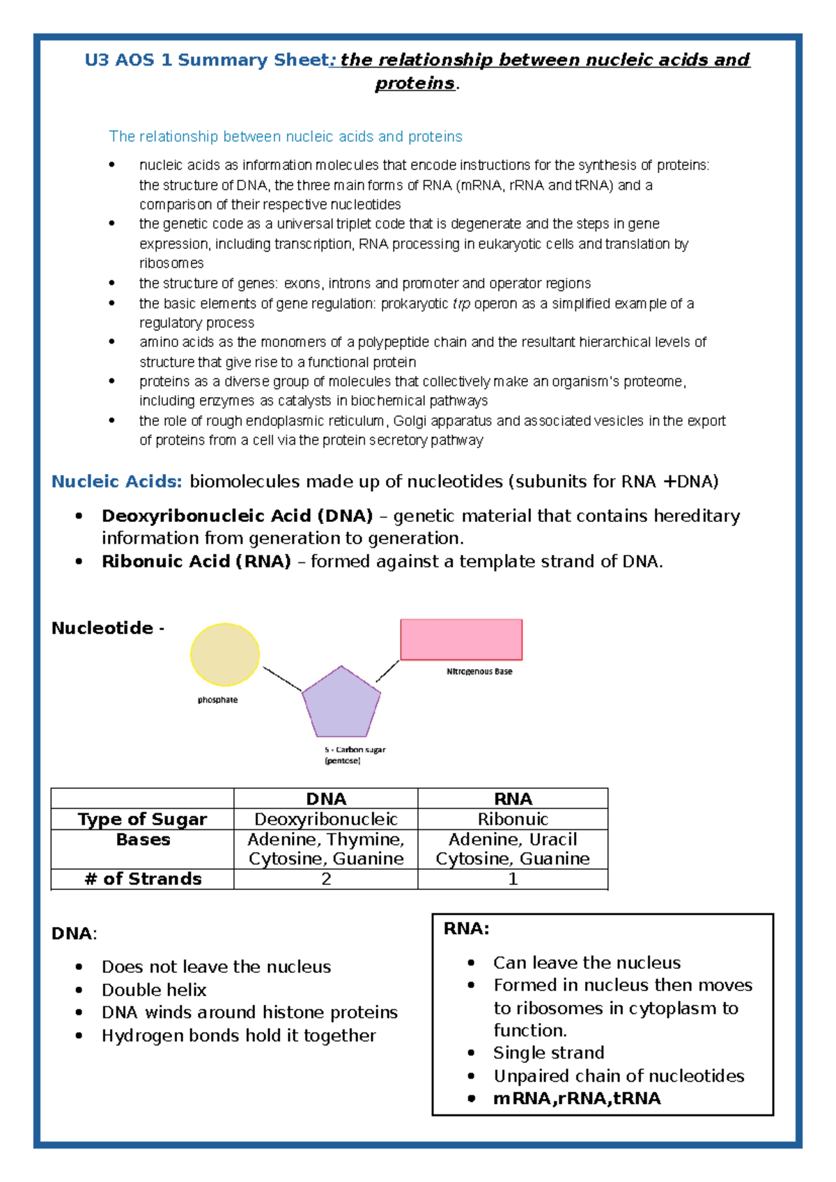 U3 AOS 1 Summary Sheet - The relationship between nucleic acids and ...