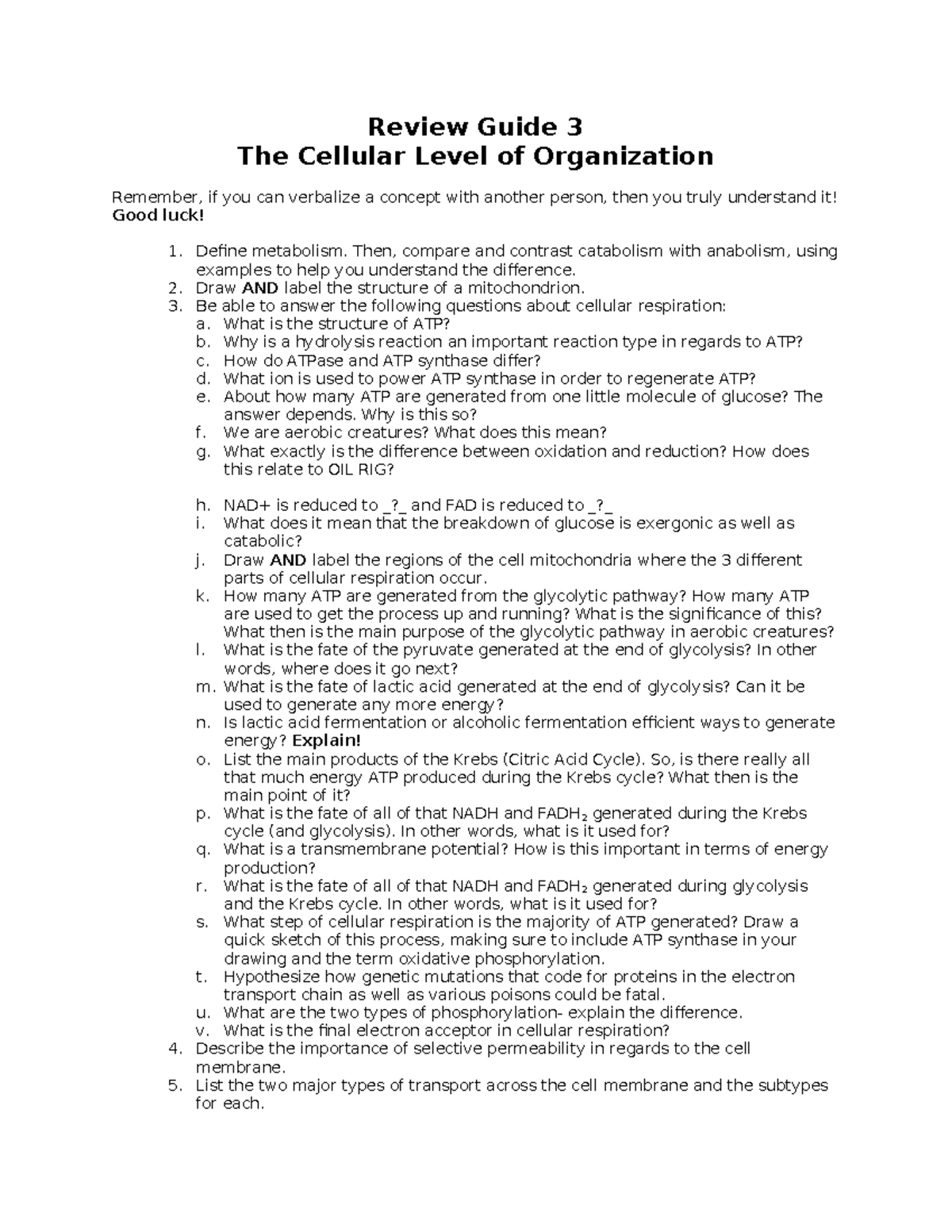 Review Guide 3 The Cellular Level Of Organization - Review Guide 3 The ...