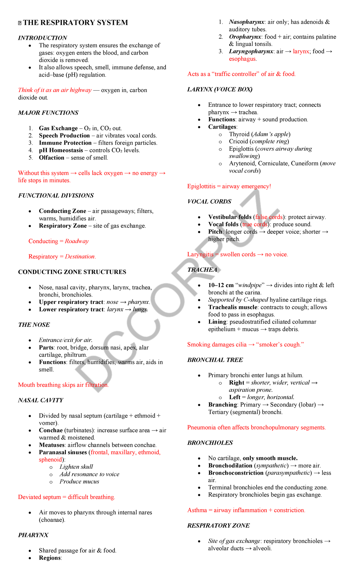 BIO 101: The Respiratory System - Structure, Function, and Gas Exchange ...