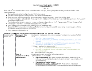 Module 3 - S. cerevisiae - BIO 211 Foundations of Genetics Laboratory ...