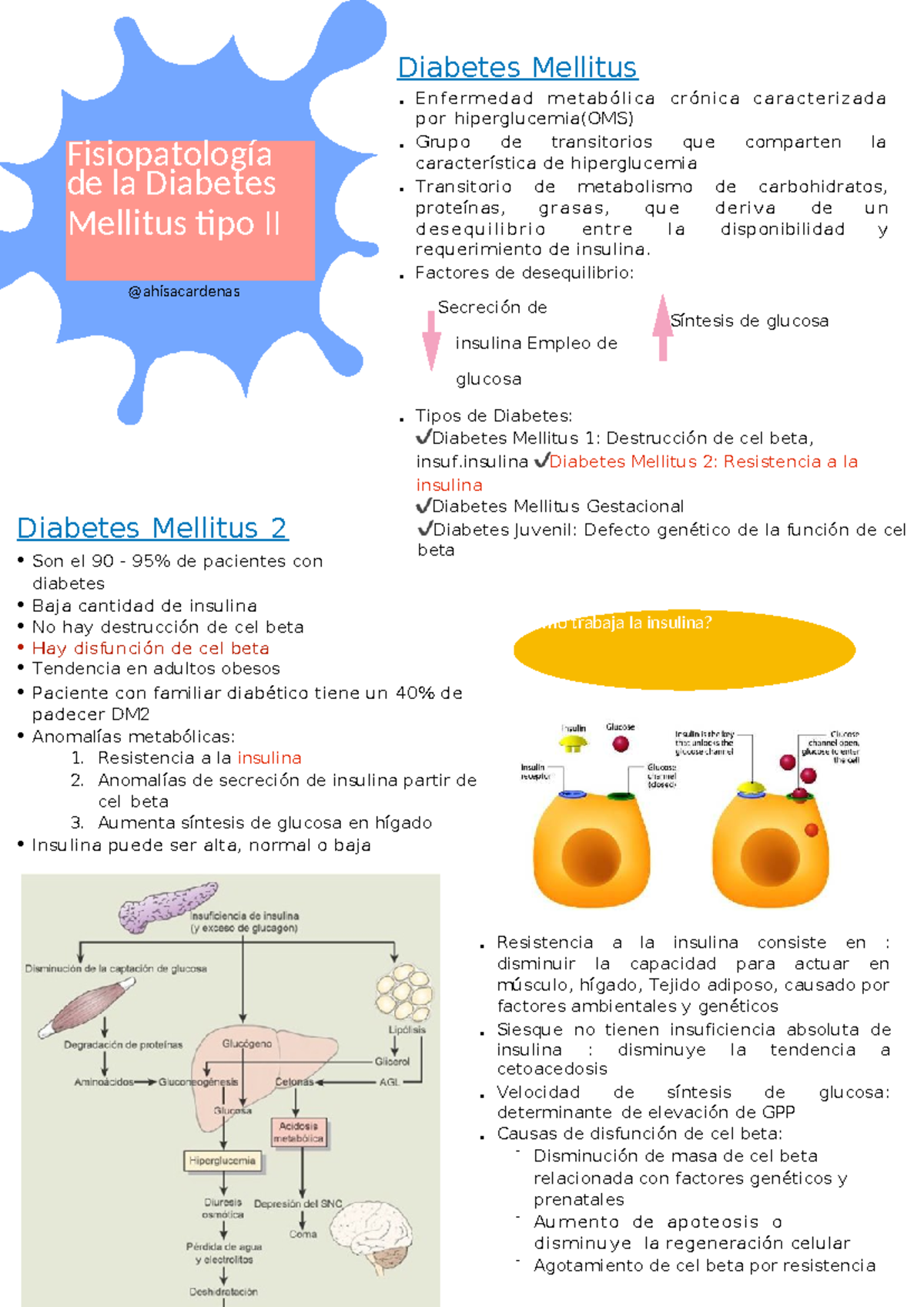 Fsp Dmtii 2 - Fisiopatología de la Diabetes Mellitus Tipo II - Studocu
