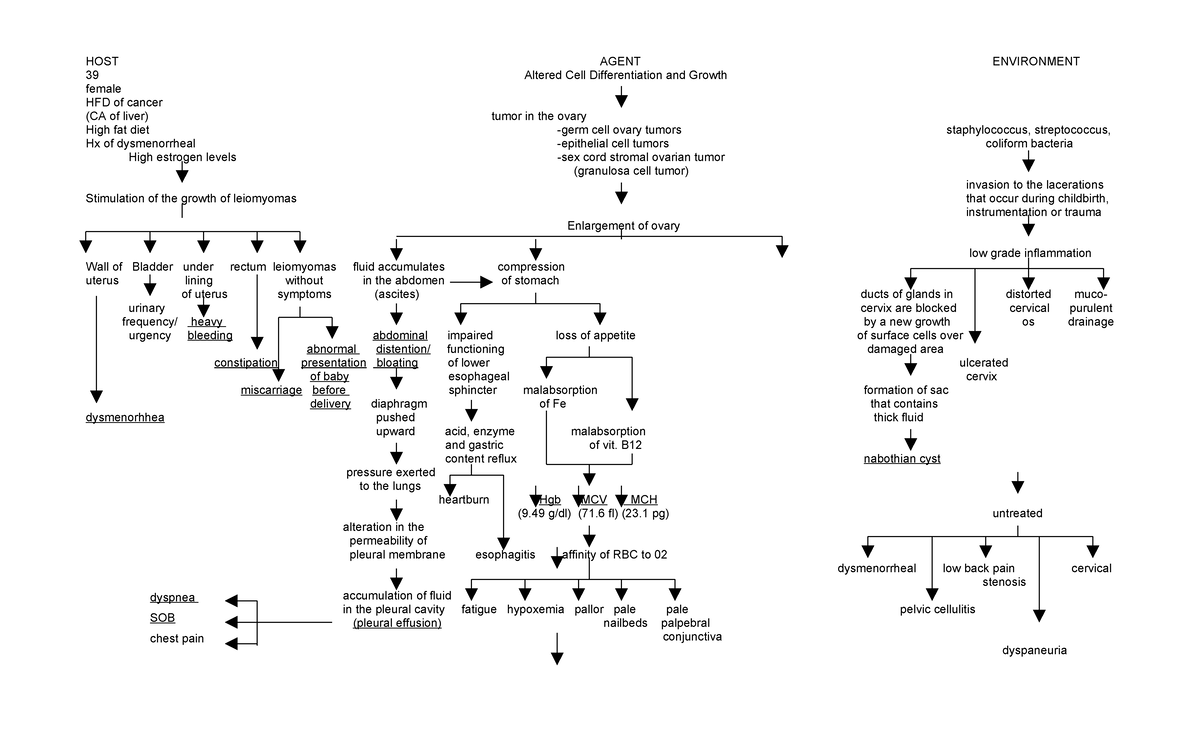 56497618 - Tahbso Pathophysiology: High Fat Diet and Cancer Connections ...