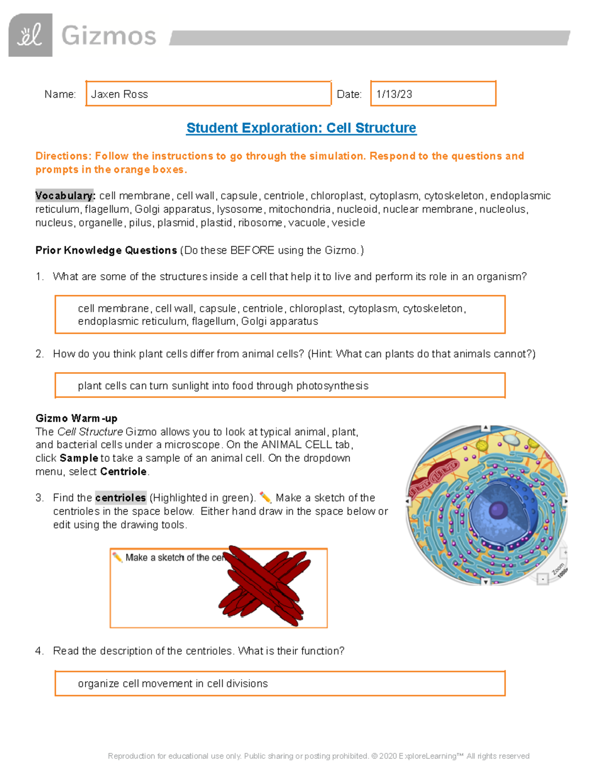 Cell Structure SE - gizmo - Name: Jaxen Ross Date: 1/13/ Student ...