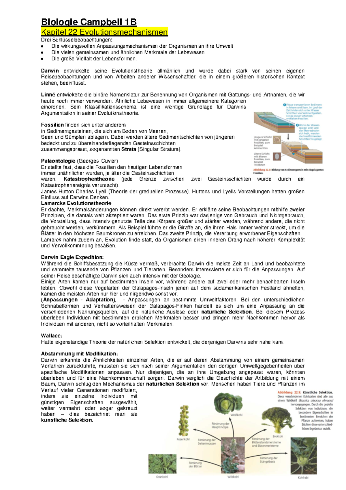 Biologie 1B: Evolutionstheorien und Mechanismen - Kapitel 22 und 23 -  Studocu