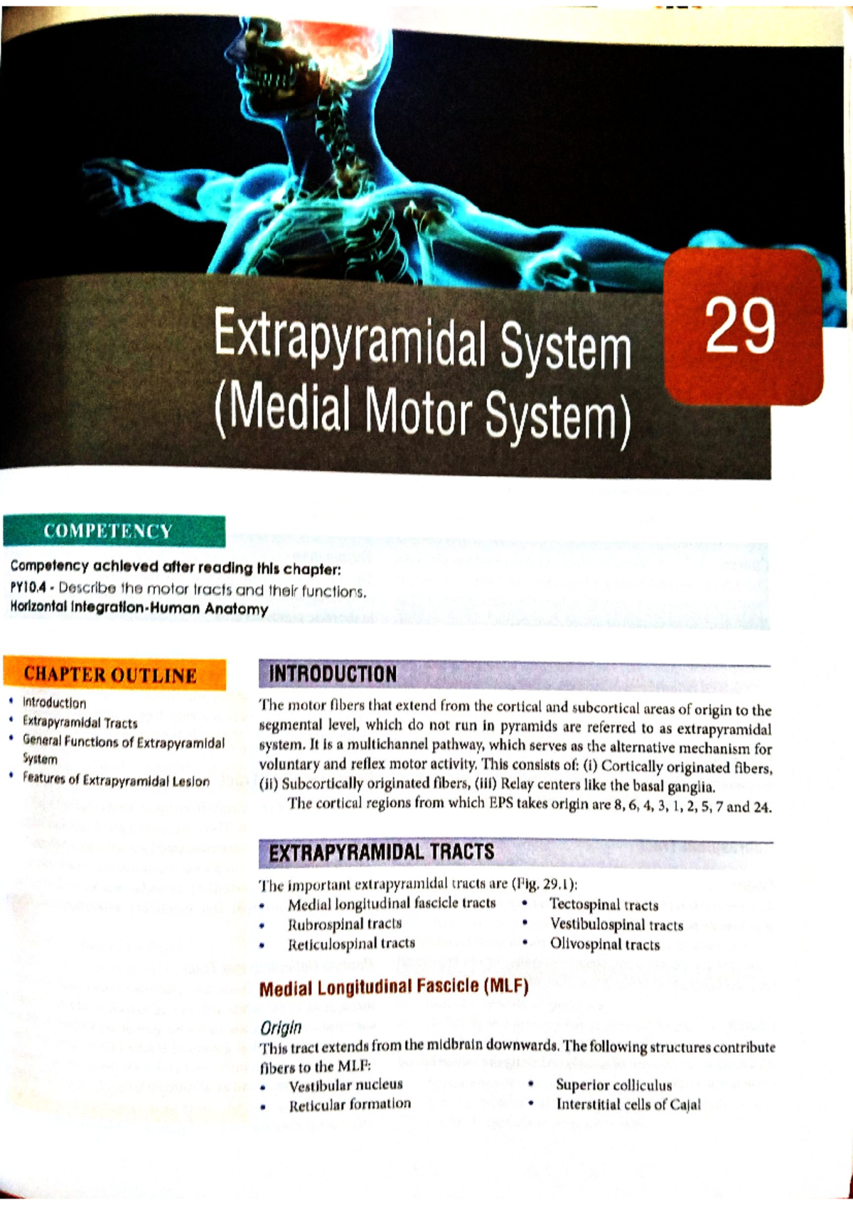 Extrapyramidal System Overview: PY104 Chapter Insights - Studocu