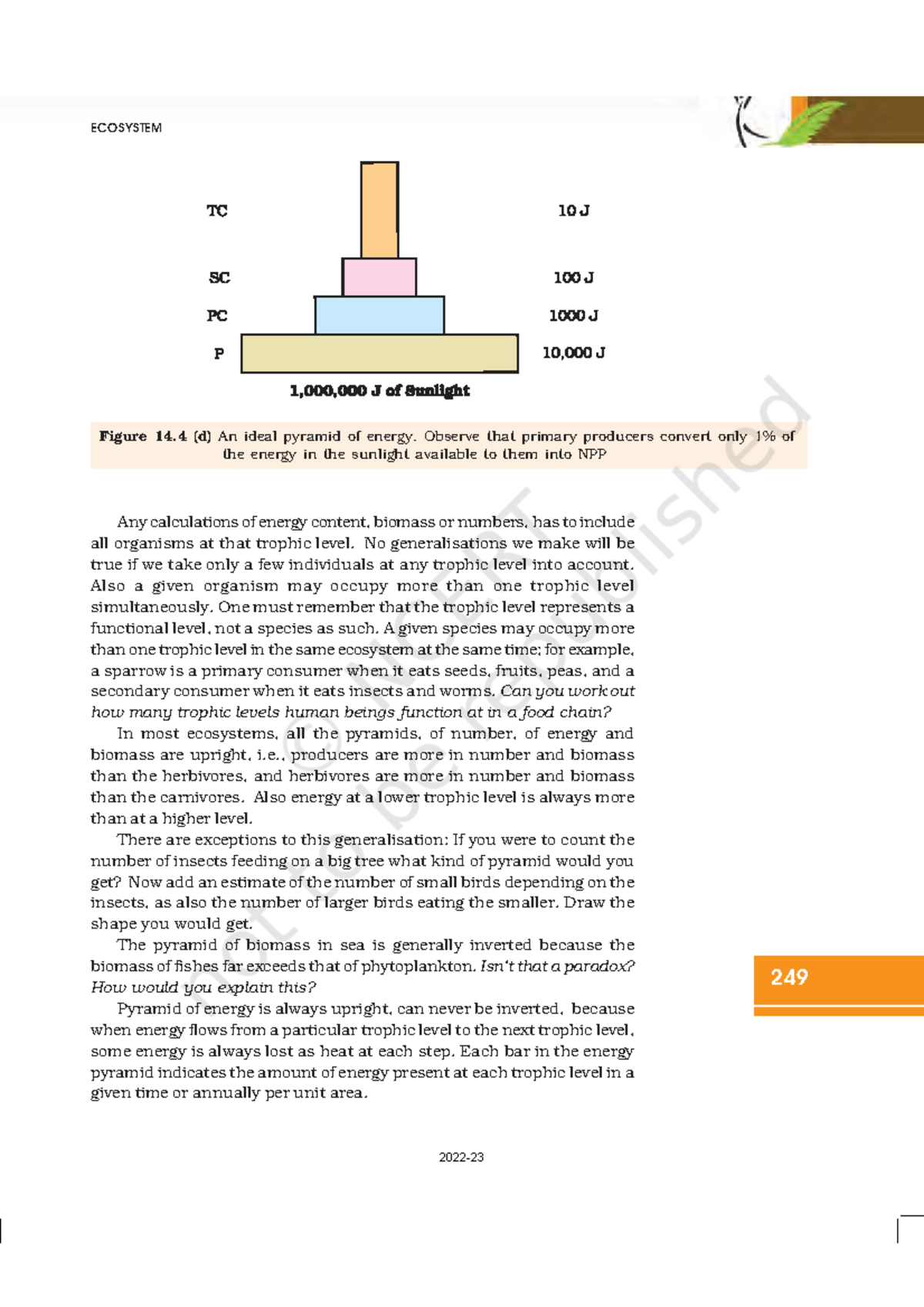 Ecosystem Energy Pyramid Analysis - NEET Study Notes - Studocu