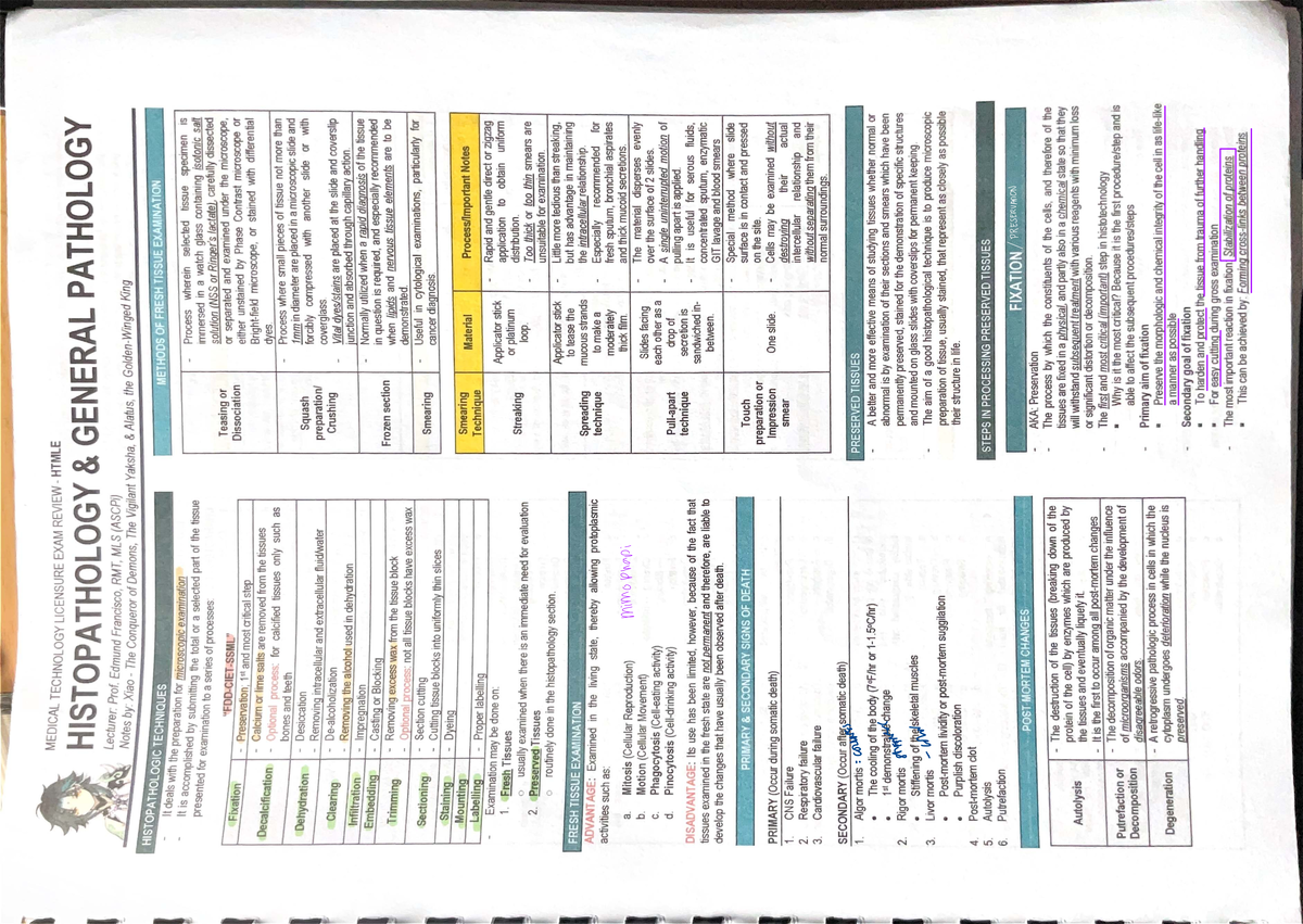 HTP - Comprehensive Review Notes for Histopathology Techniques - Studocu