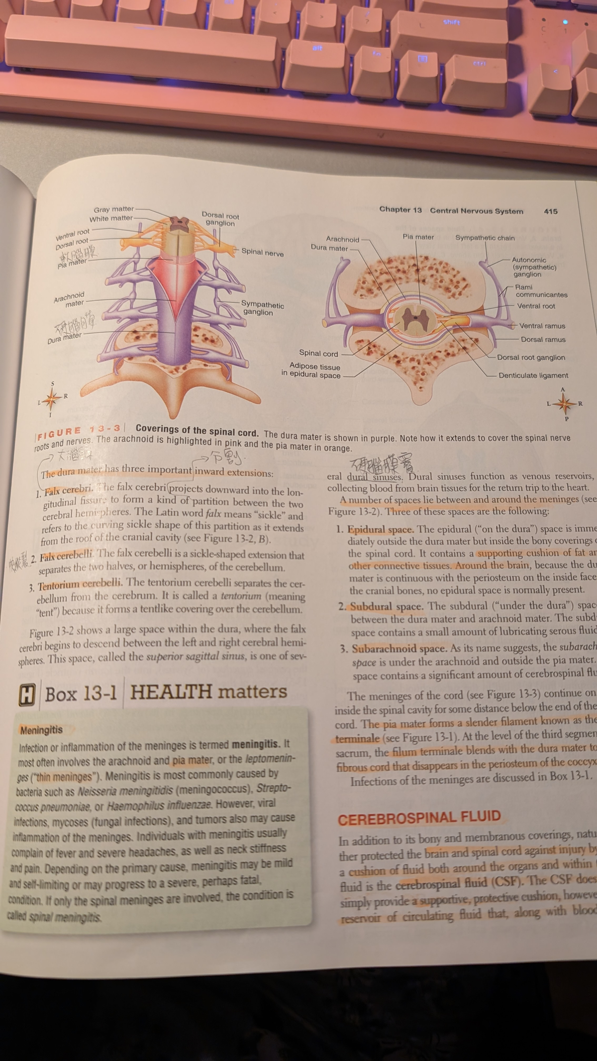 Final Exam Study Guide for XYZ 101: Central Nervous System Overview ...