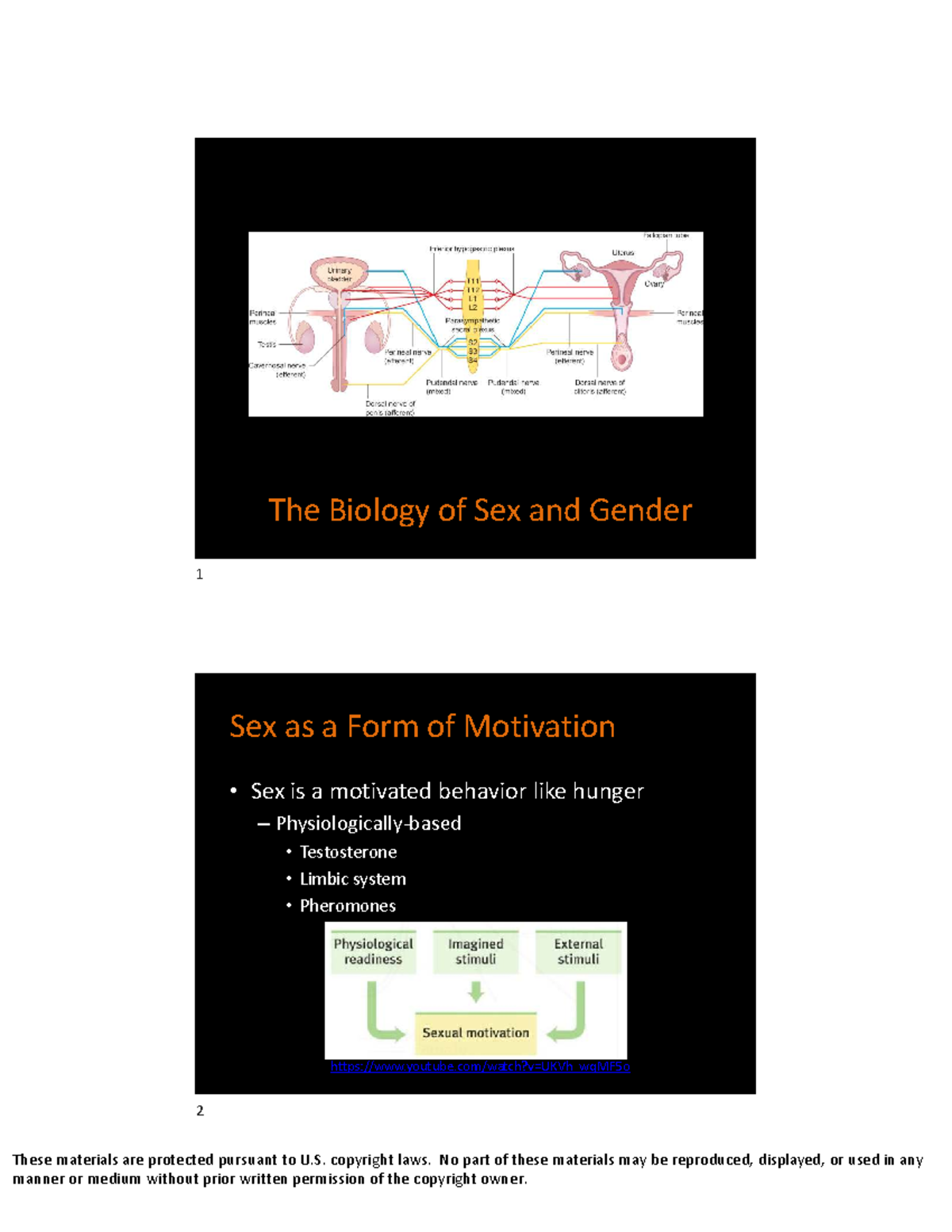 Biological Foundations of Gender Identity & Sexual Behavior - PSYX 350 ...