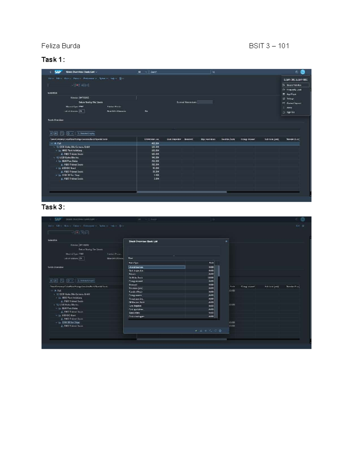 Feliza 03 Lab Exercise 2: Insights on SAP WM Precision and Integration ...