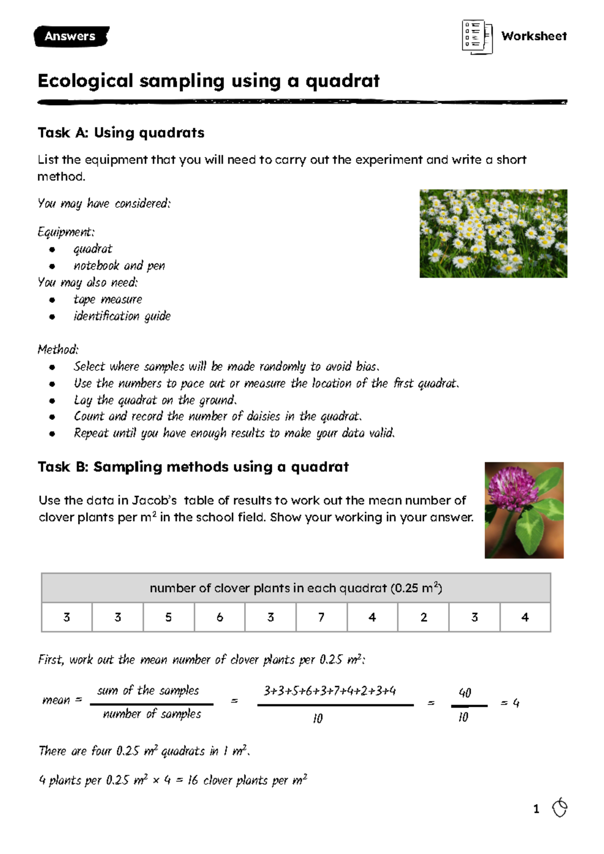 Worksheet Answers - Ecology Sampling Methods with Quadrat - Studocu