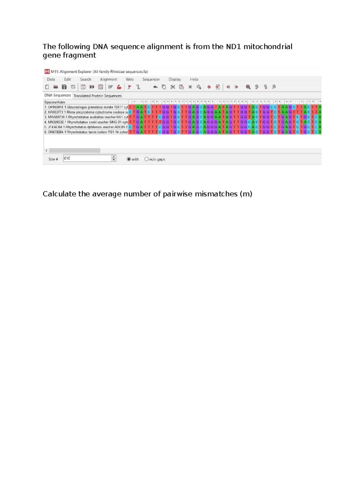 The following DNA sequence alignment is from the ND1 mitochondrial gene ...