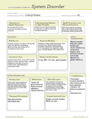 Dka Ati System Disorder - Active Learning Template: System Disorder 