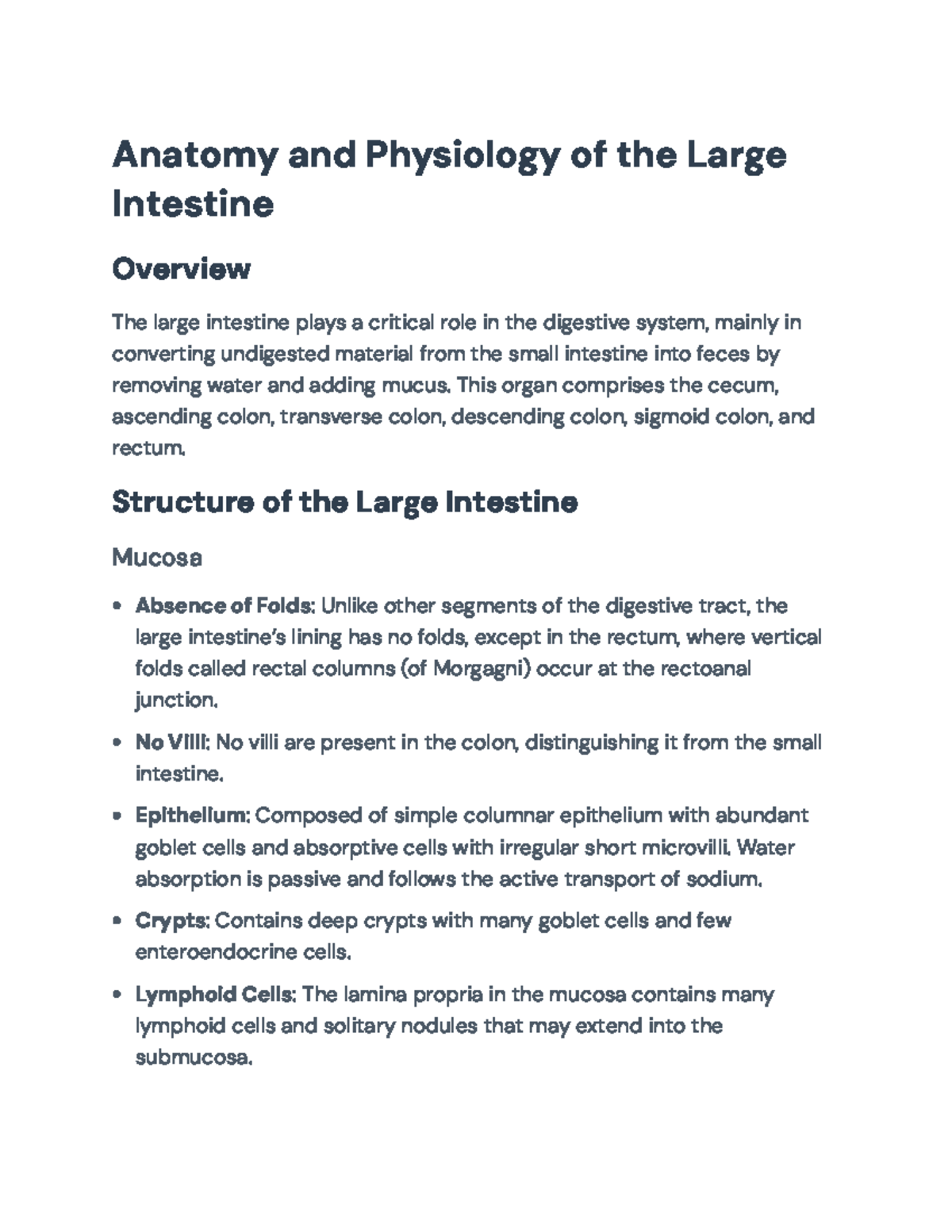 Anatomy and Physiology of the Large Intestine: Detailed Overview ...