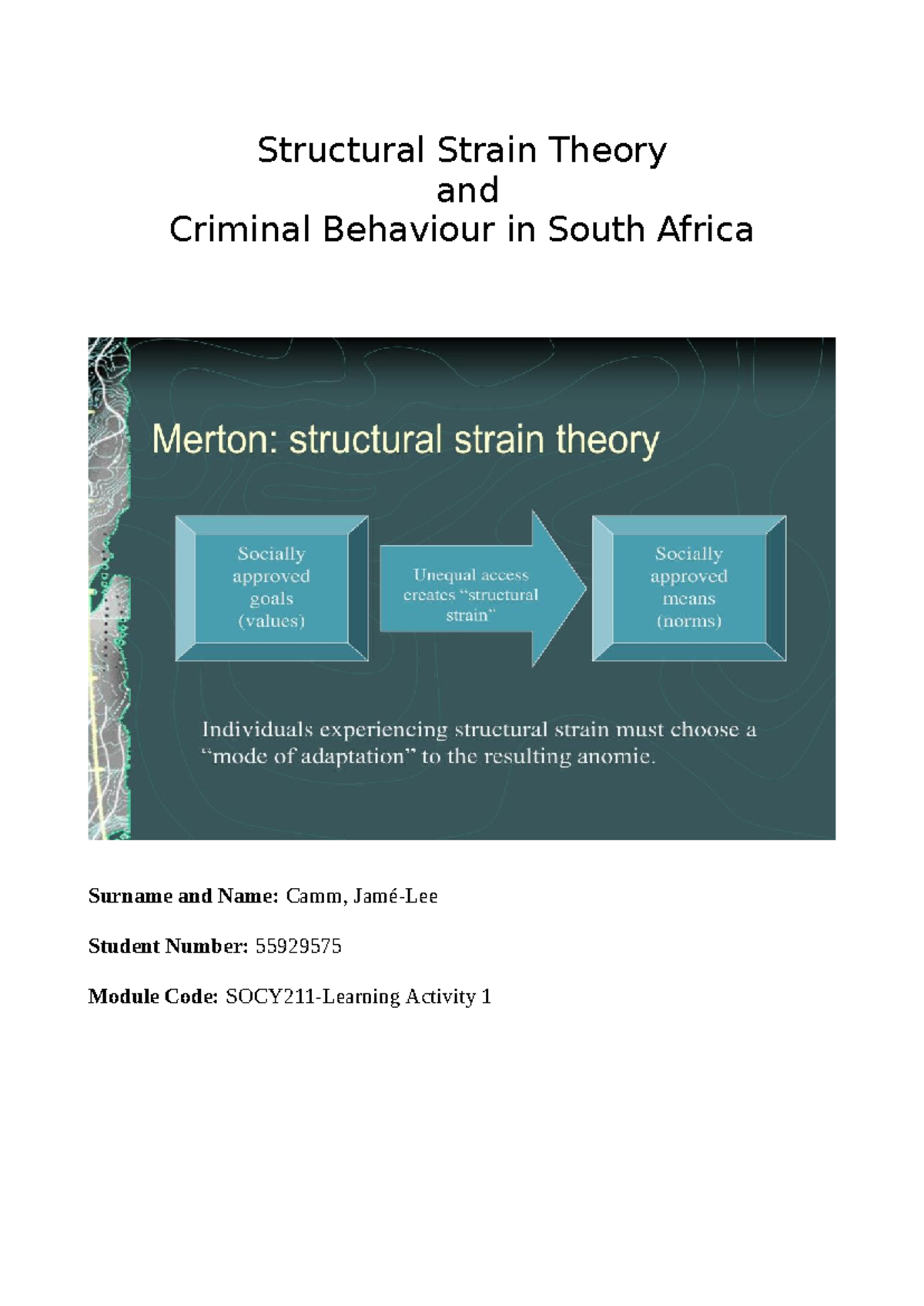 SOCY211 Activity 1: Structural Strain Theory & Crime in South Africa ...
