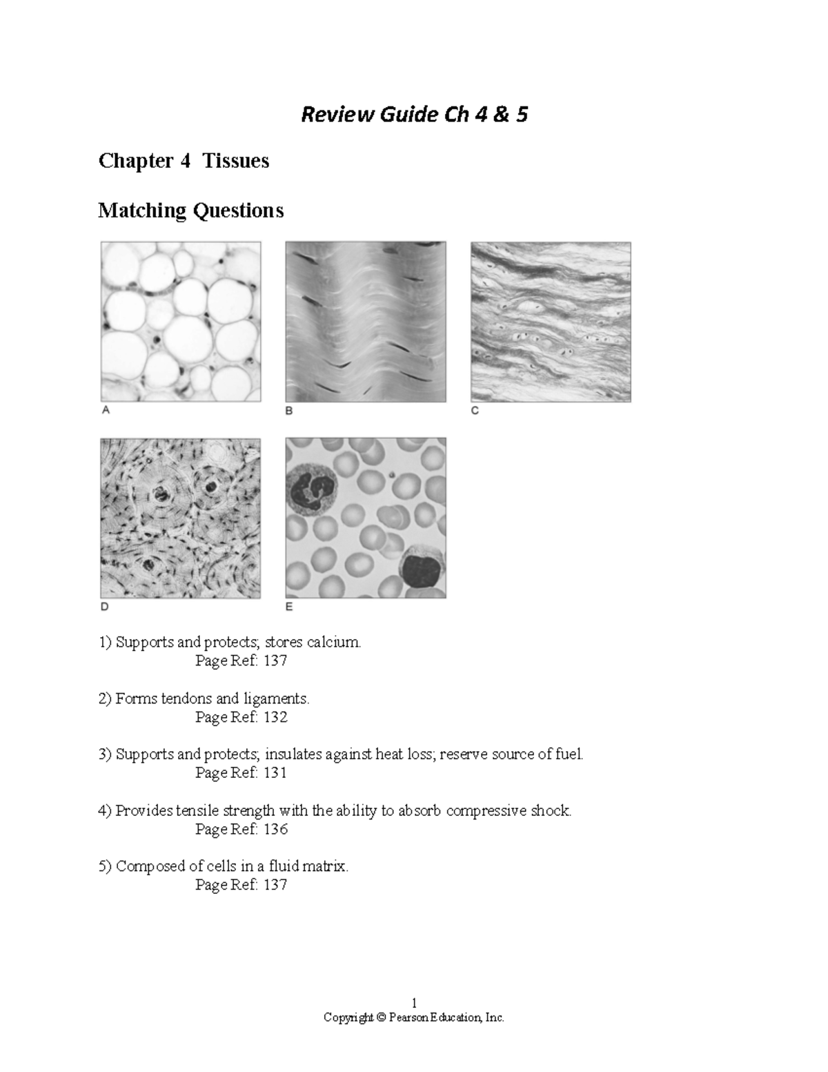 BIO 201 - Exam 2 Review Guide: Tissue Types & Functions - Studocu