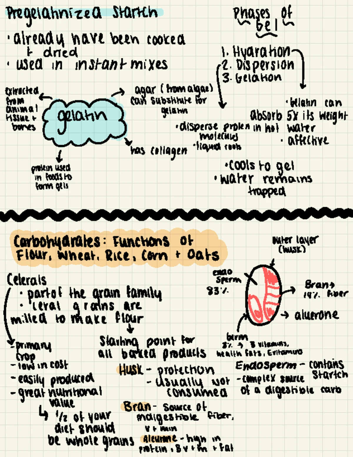 Food Additive Assignment Overview for Culinary Nutrition (709:201 ...