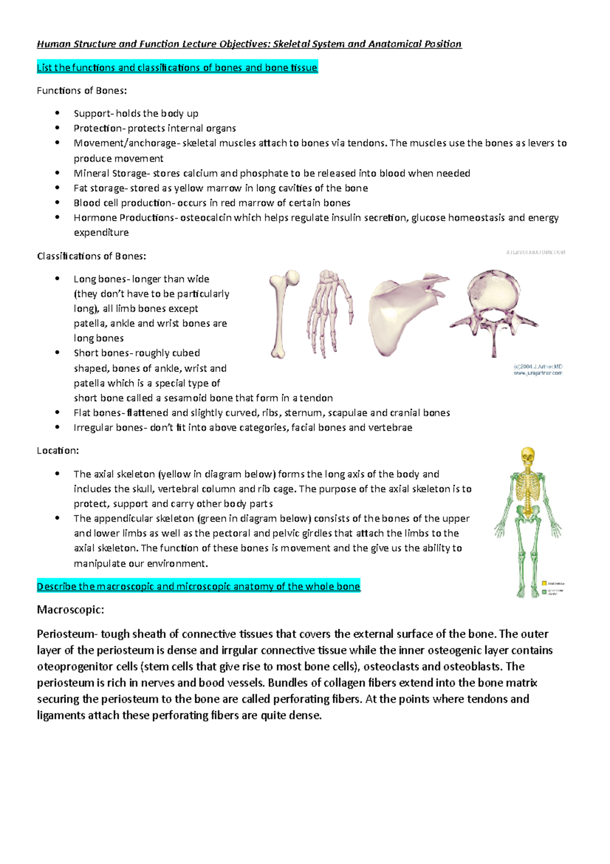 HLTH1000 Skeletal system - Human Structure and Function Lecture ...