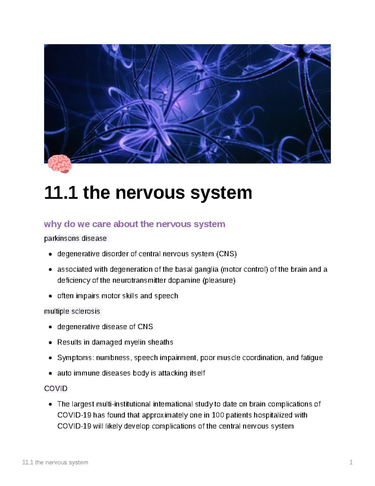 Chapter 11.1: Overview of the Nervous System and Its Functions - Studocu