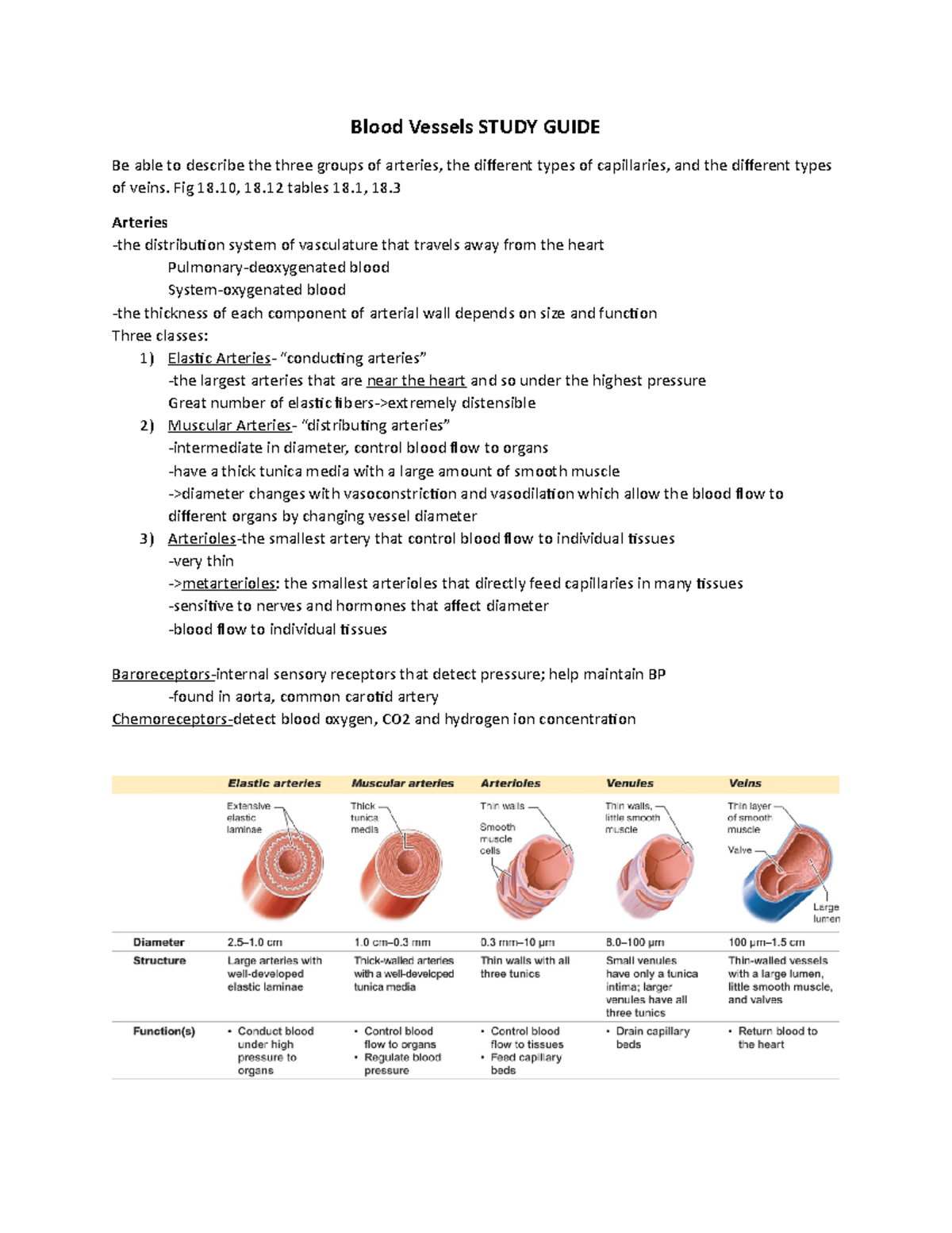 Blood Vessels Study Guide - Blood Vessels STUDY GUIDE Be able to ...