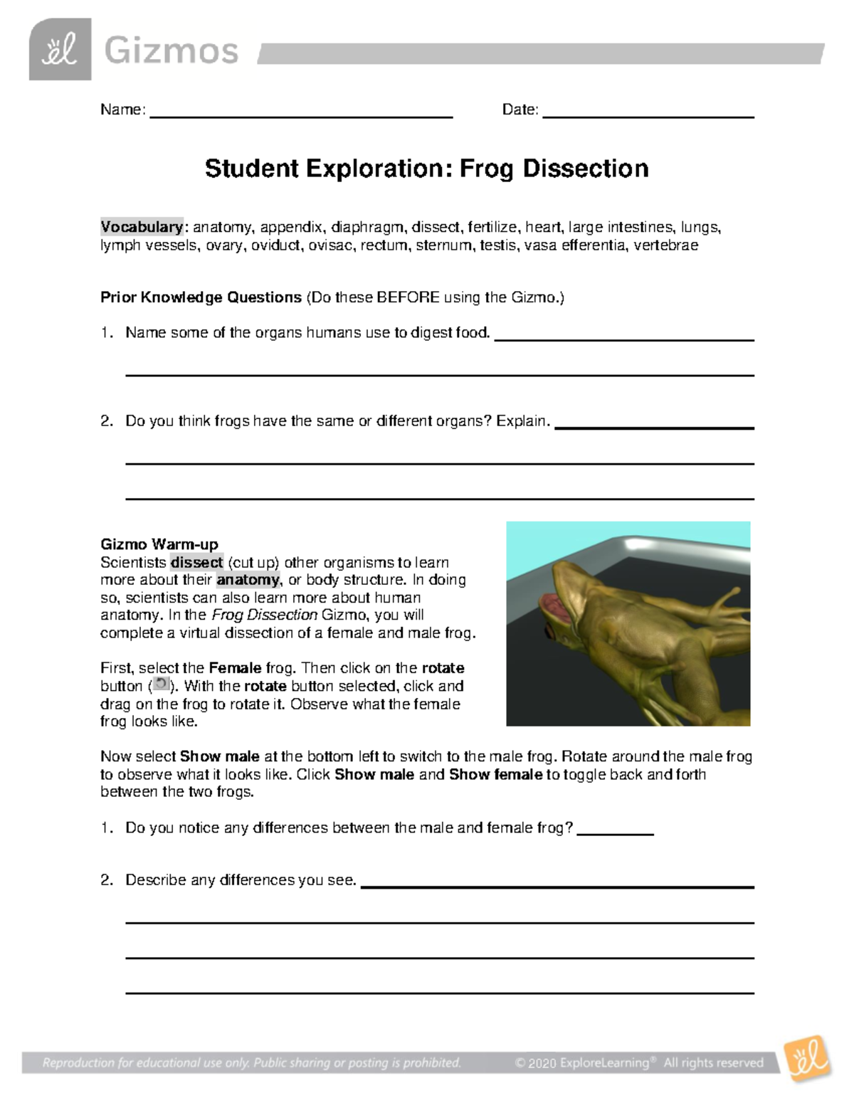 Frog Dissection SE: Vocabulary & Anatomy Insights for 2020 - Studocu