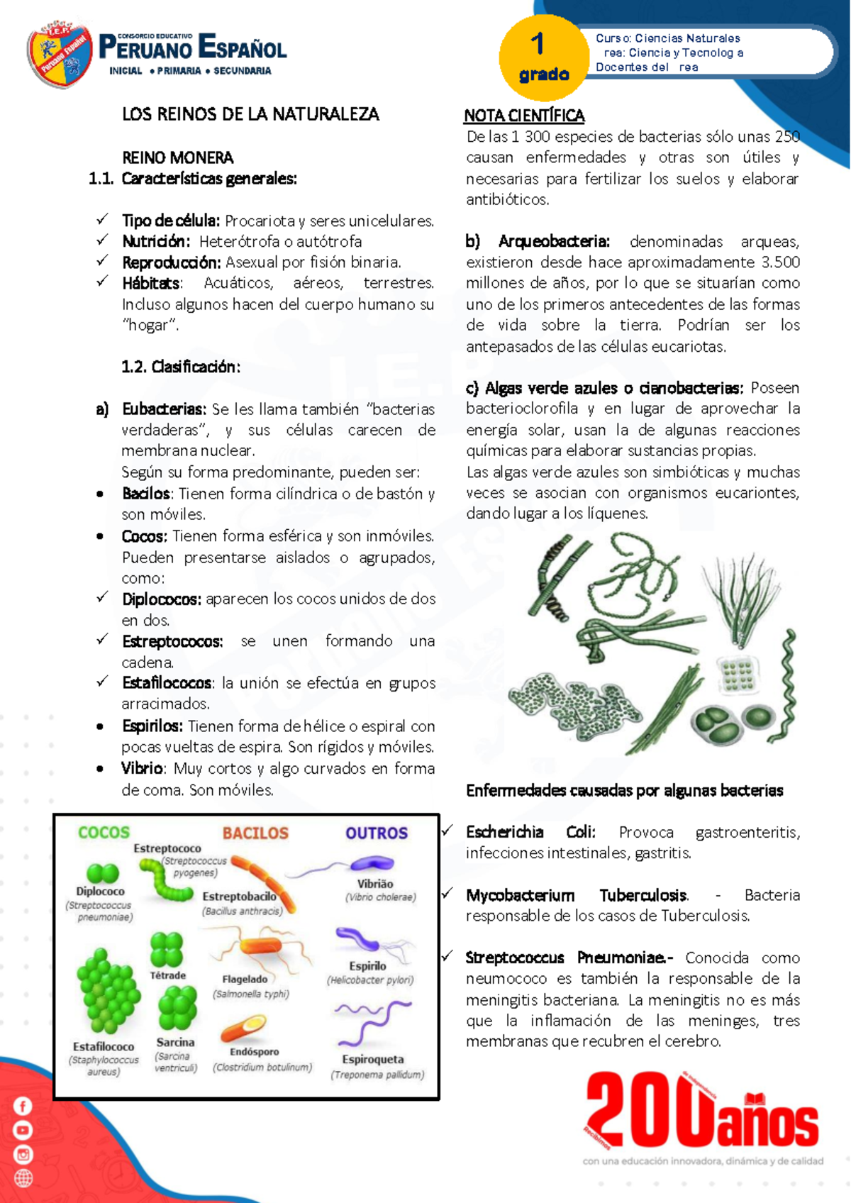 1º Grado: Los Reinos de la Naturaleza - Reino Monera y Más - Studocu