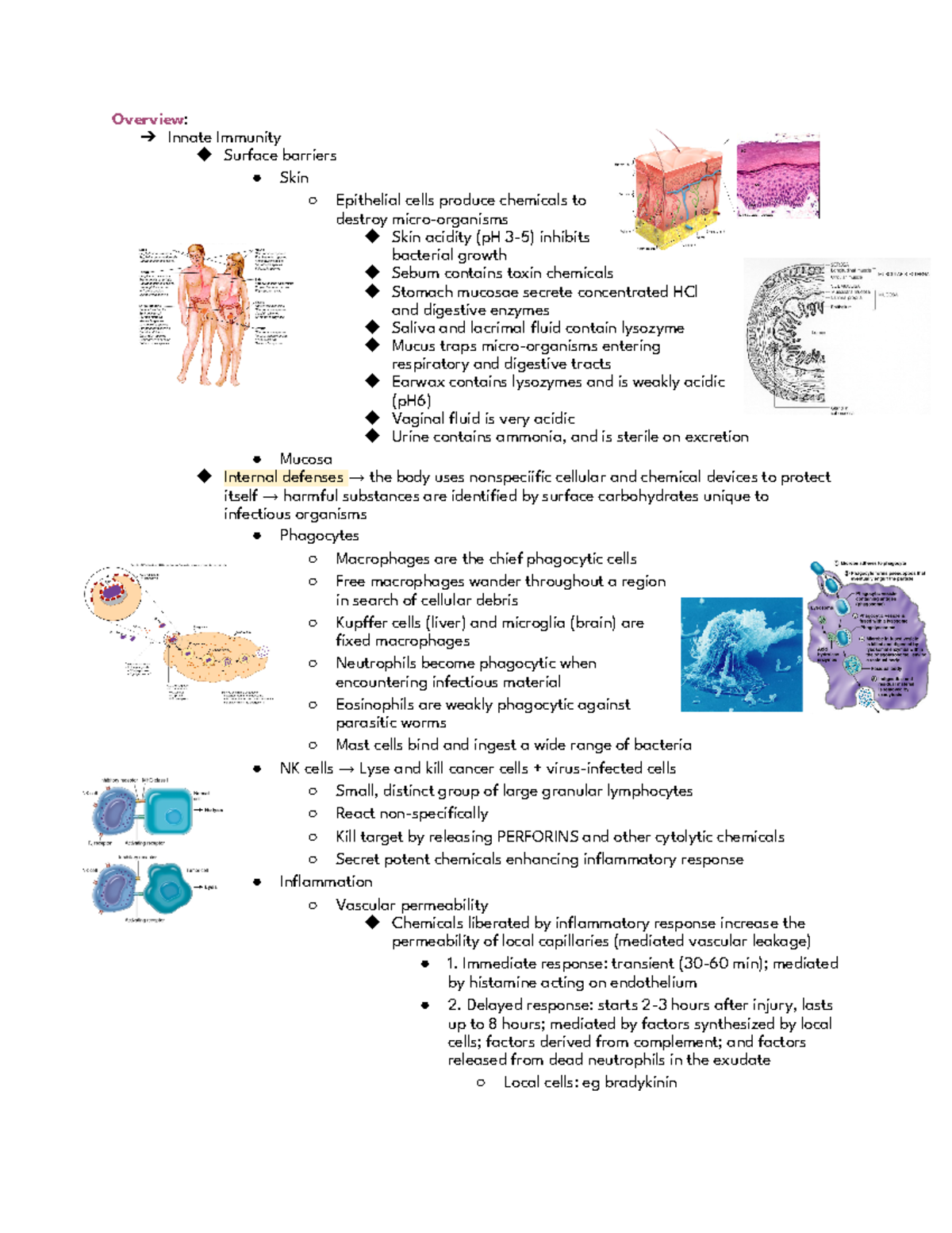 CH 21 The Immune System - Overview: Innate Immunity Surface barriers ...