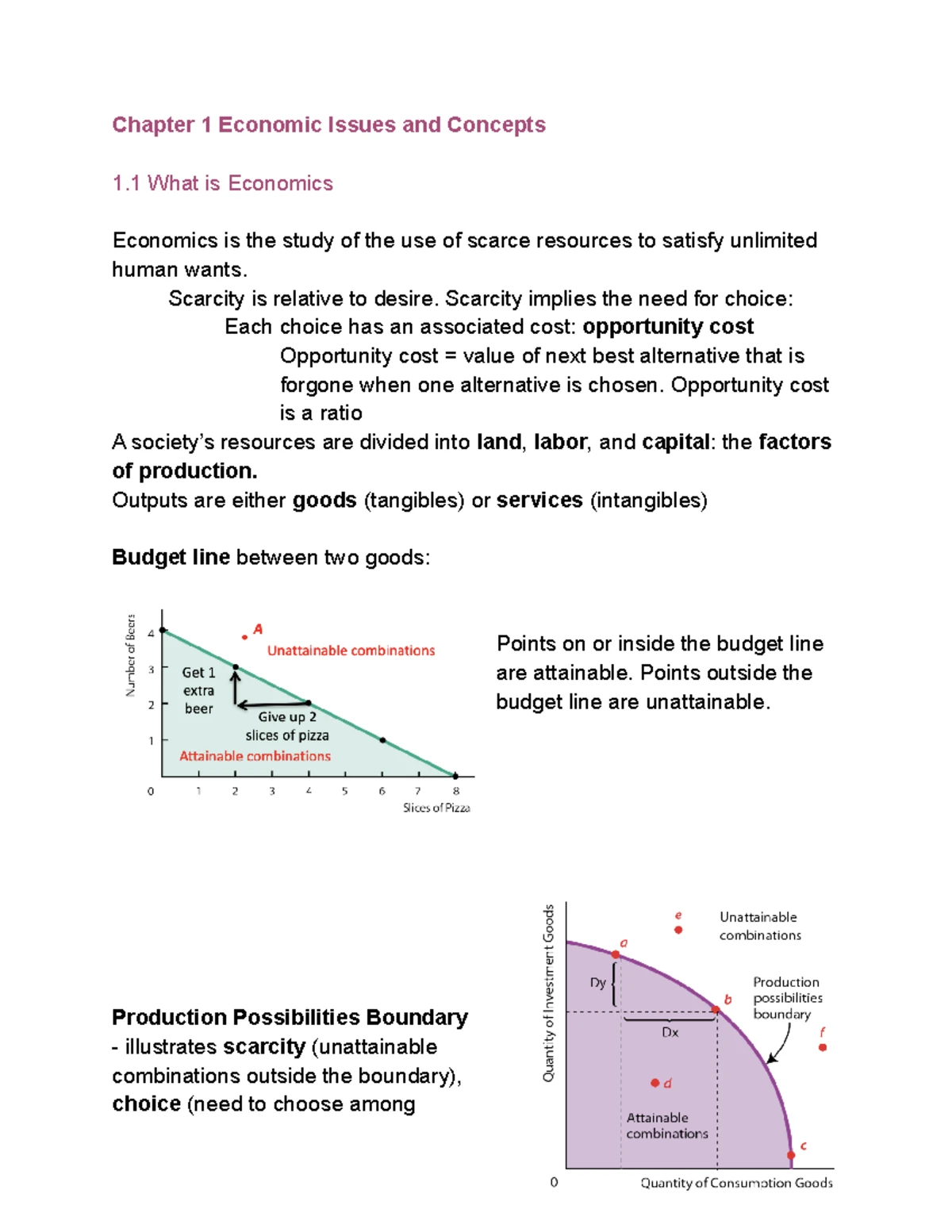Document 5 - summary notes chapter 1 - Chapter 1: Economic Issues and ...