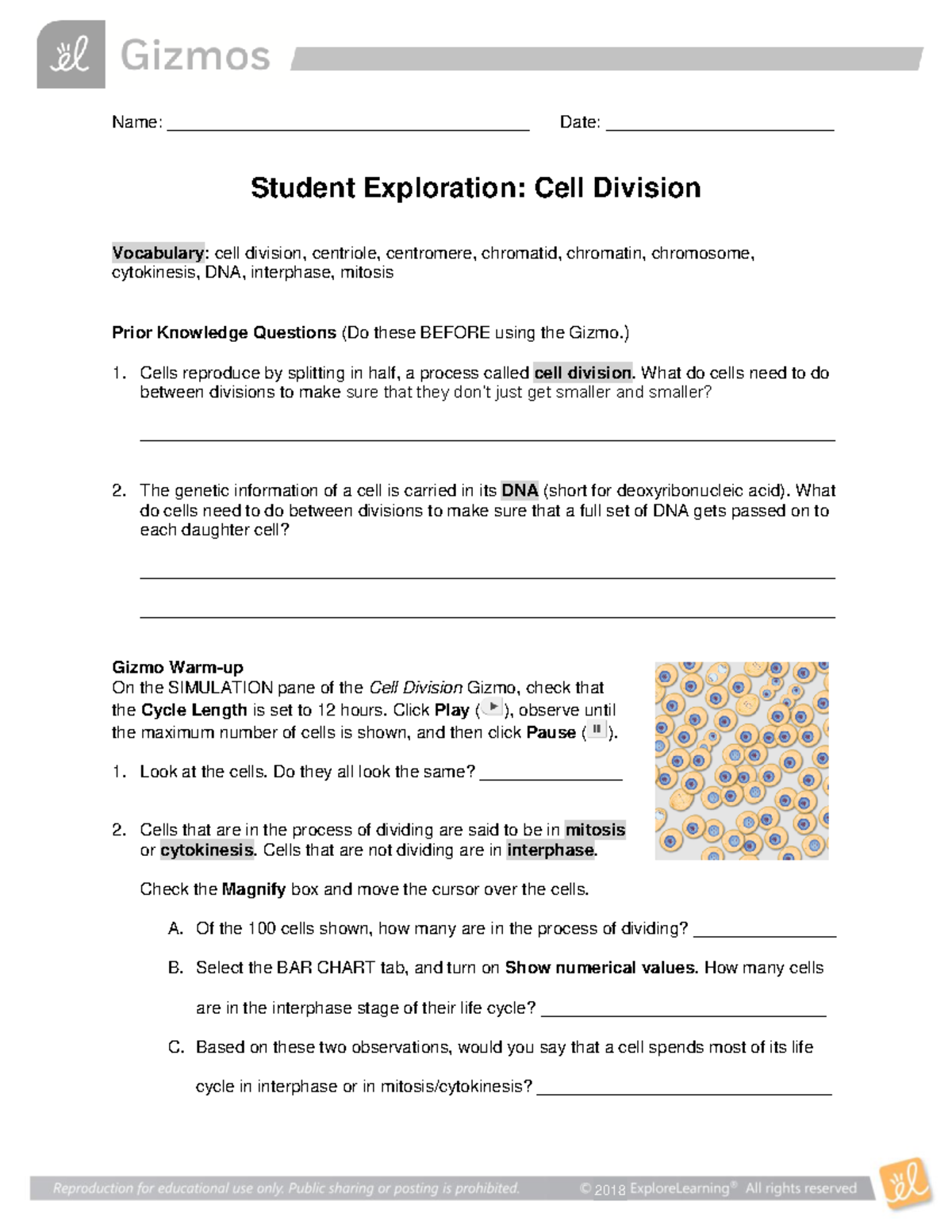 Kami Export - Cell Division SE - Name ...