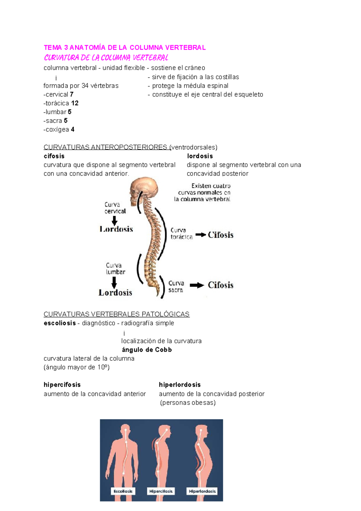 TEMA 3: ANATOMÍA DE LA COLUMNA VERTEBRAL Y SUS CURVATURAS - Studocu