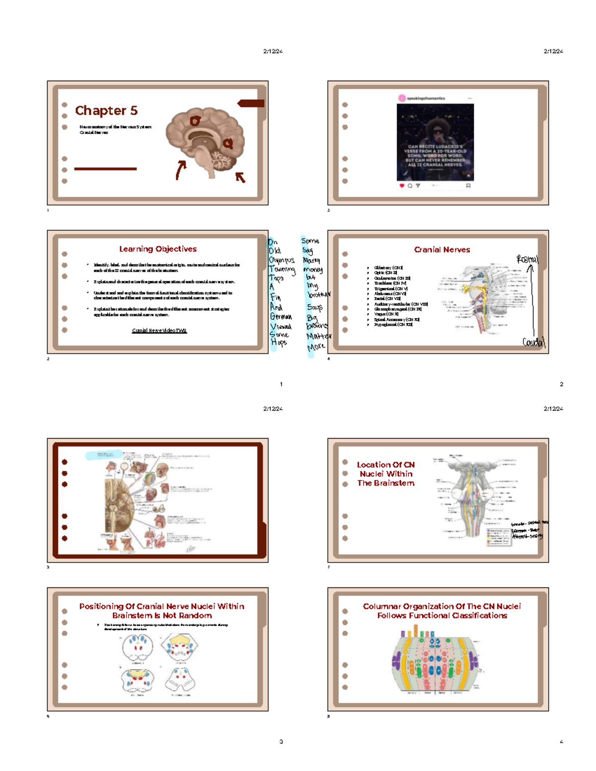 Neuroanatomy and Assessment of Cranial Nerves: Chapter 5 Notes - 1 ...