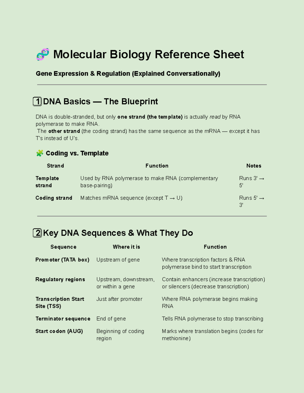 Molecular Biology Ref: Gene Expression & Mutation Effects (BIOL 101 ...