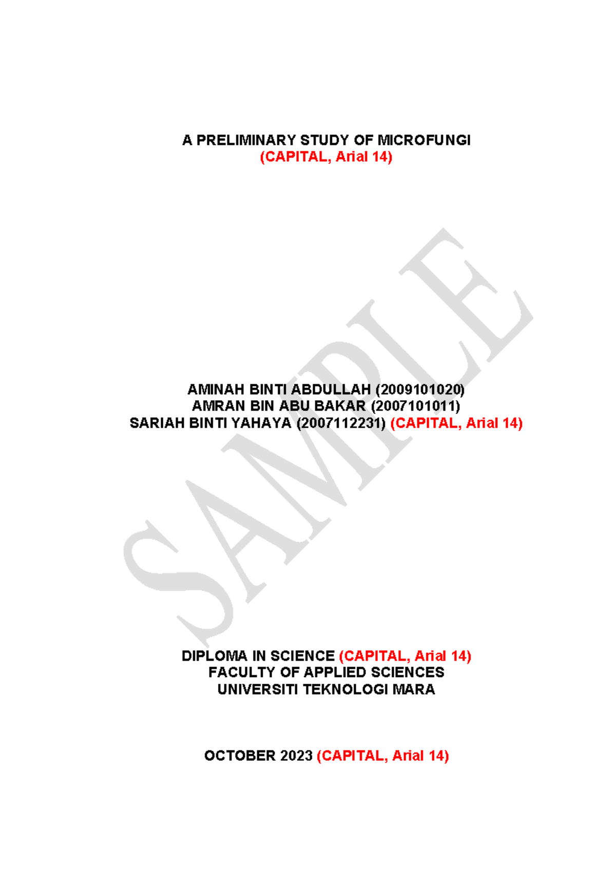 MINI PROJECT FINAL REPORT TEMPLATE (LAB BASED) Oct22023-Feb2024_.doc ...