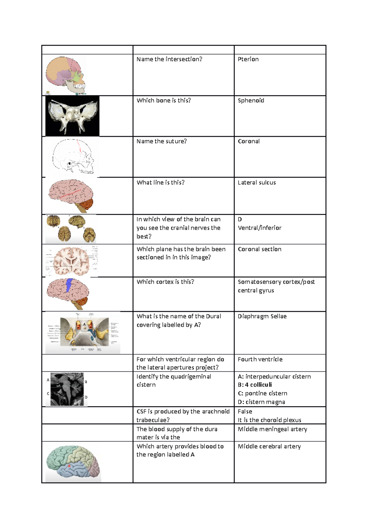 HUBS2103 Practice Questions on Neuroanatomy and Cranial Nerves - Studocu