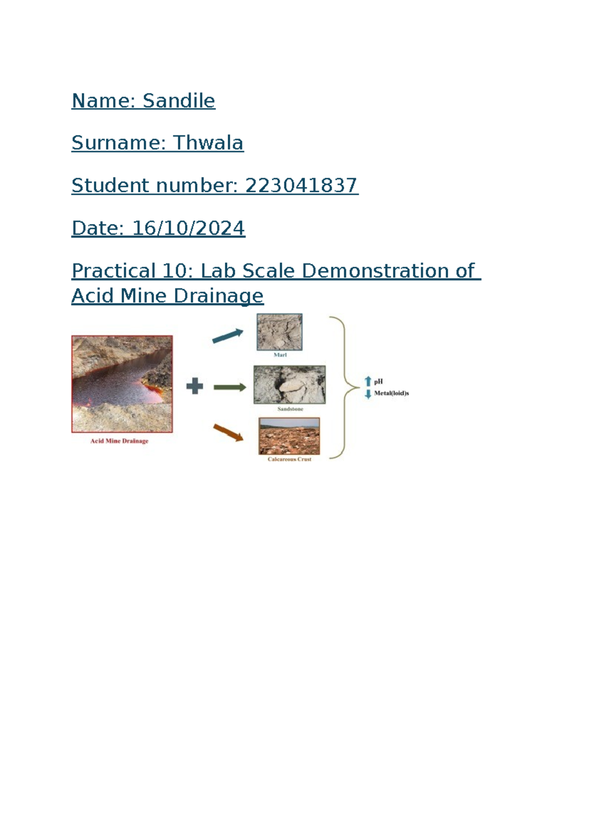 Apch 211 Prac 10: Lab Scale Study of Acid Mine Drainage Effects - Studocu
