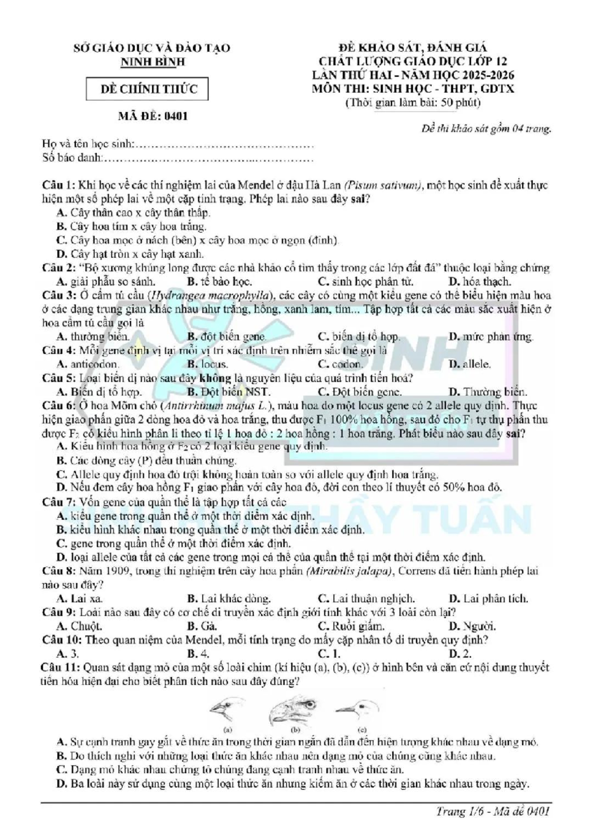 Đề thi khảo sát môn Sinh học lớp 12 - MA ĐỀ: 0401 - Studocu