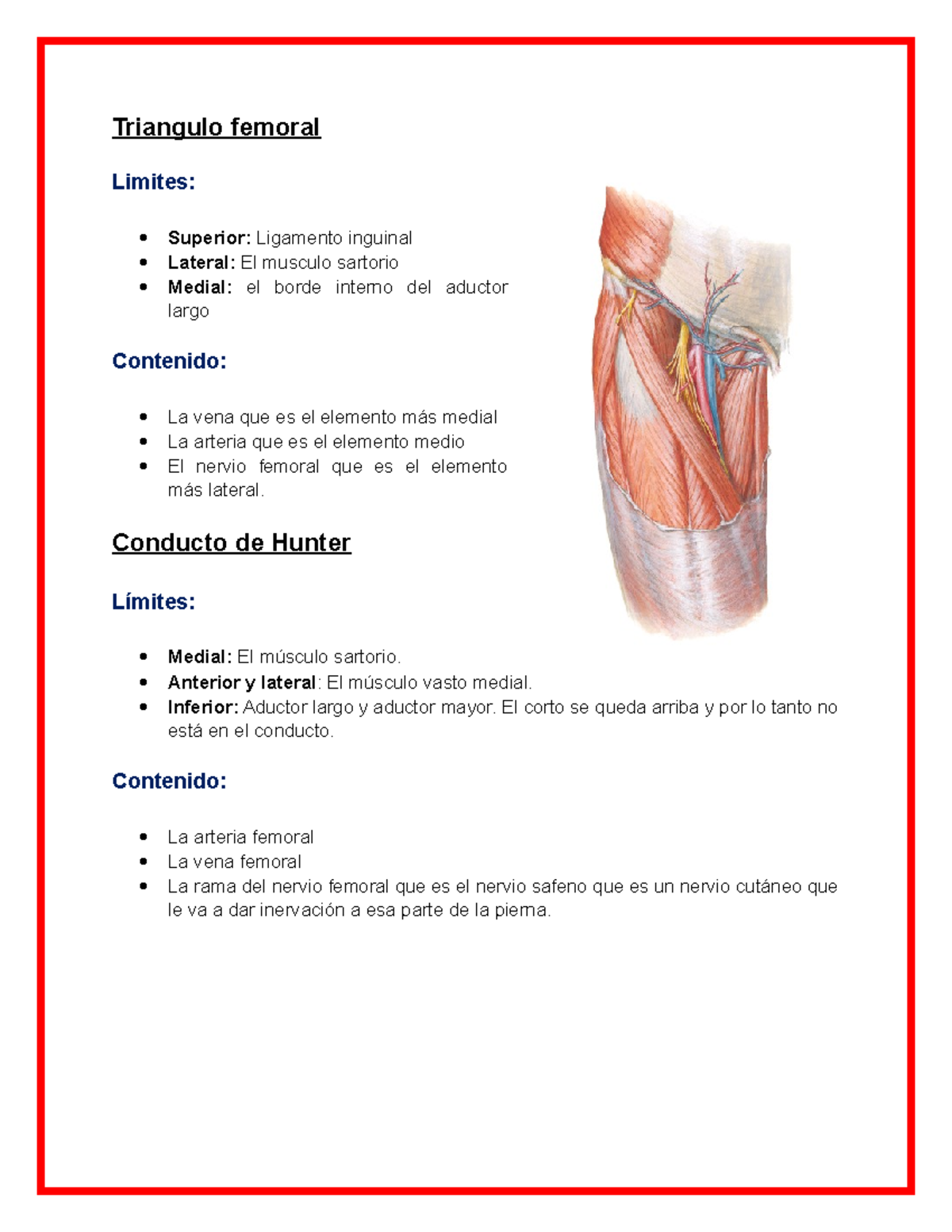 Dolor en el vasto medial causado por ciclismo – SOLESTAR, image size:1200x1553
