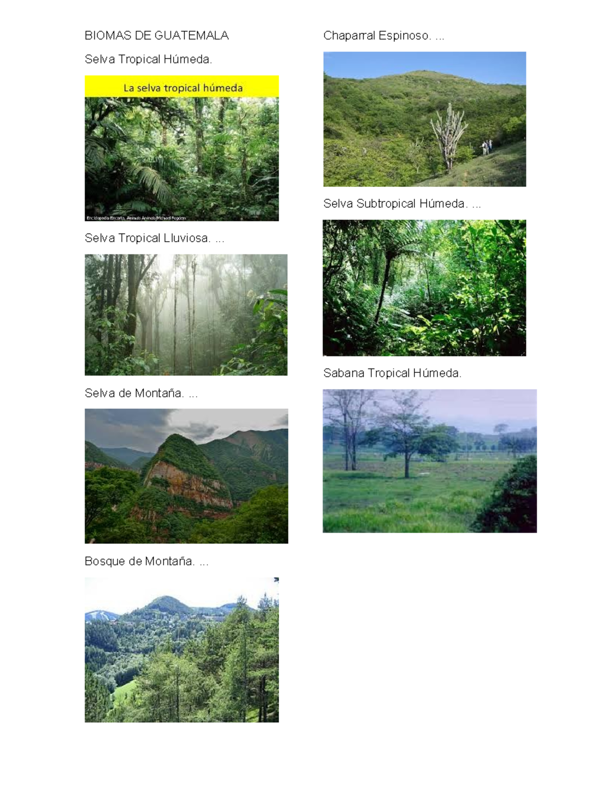 383541739 Biomas de Guatemala - ciencias naturales - BIOMAS DE