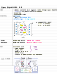 Class notes for Studying NCEA level 2 Biology in NCEA - 12 (NCEA 2 ...