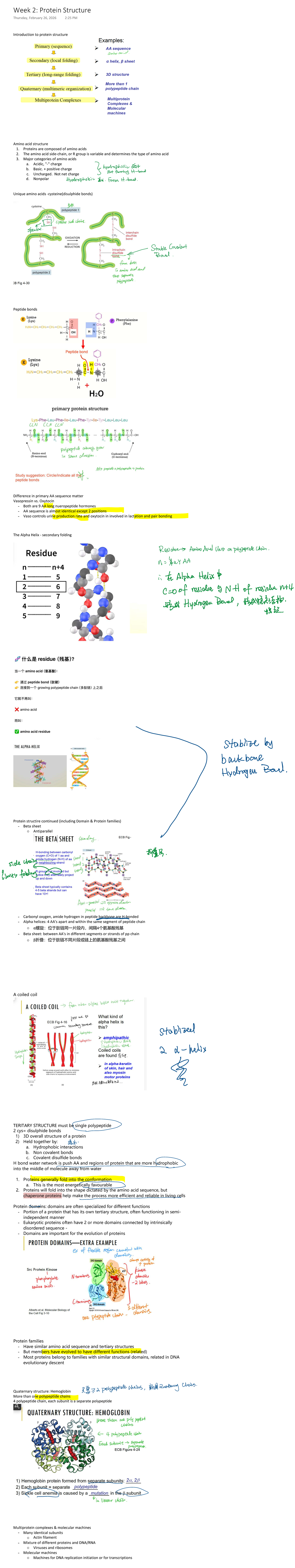 Week 2: Protein Structure Overview and Key Concepts - Studocu
