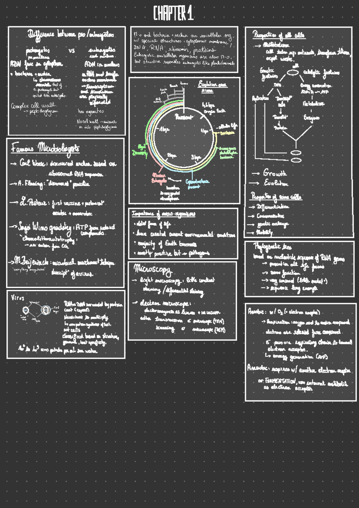 Microbiology Summary and Key Concepts for BIO 101 - Studeersnel