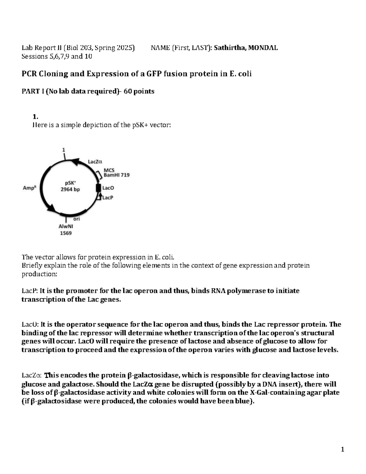 Biol 203 - Lab Report II: PCR Cloning & GFP Expression in E. coli - Studocu