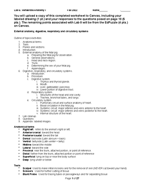 Bio lab 5. Mitosis:Meiosis:Mendelian Genetics - You will upload a copy ...