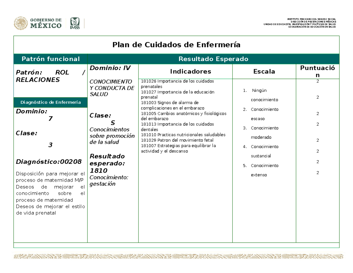 Plan de Cuidados de Enfermería: Rol y Percepción de la Salud - Studocu