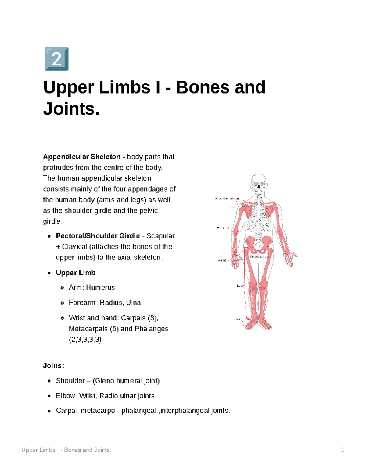 Upper Limbs I: Anatomy of Bones and Joints in Human Skeleton - Studocu